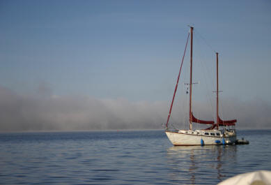 Picture of Samana at Anchor